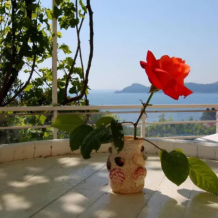 Gostinjska kuća Cervelin 3*