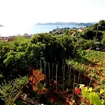 Cervelin Pensión