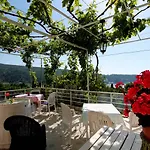 Cervelin Pensión 3*