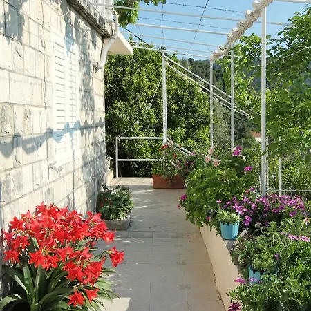 Cervelin Guest house Lopud
